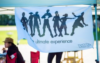 The Ultimate Experience flag